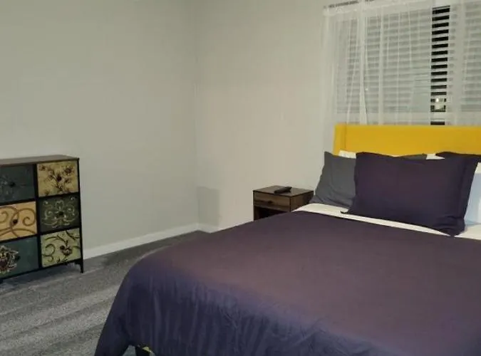 Hidden Gem In Area Apartment