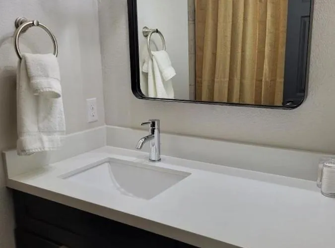 Hidden Gem In Area Apartment